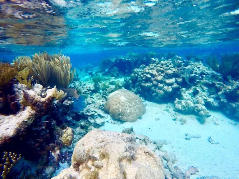 Apartment Diver'S Paradise West Bay