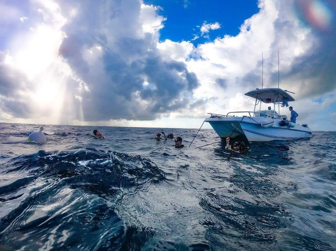 Apartment Diver'S Paradise West Bay Cayman Islands