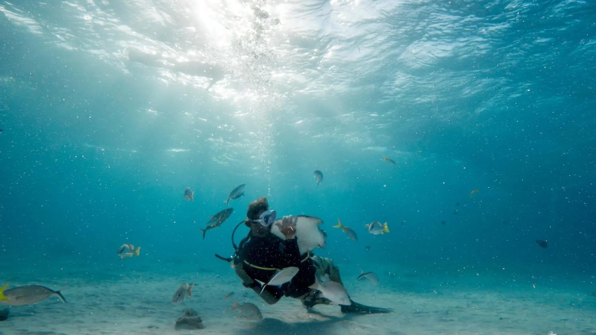 Diver'S Paradise West Bay Apartment