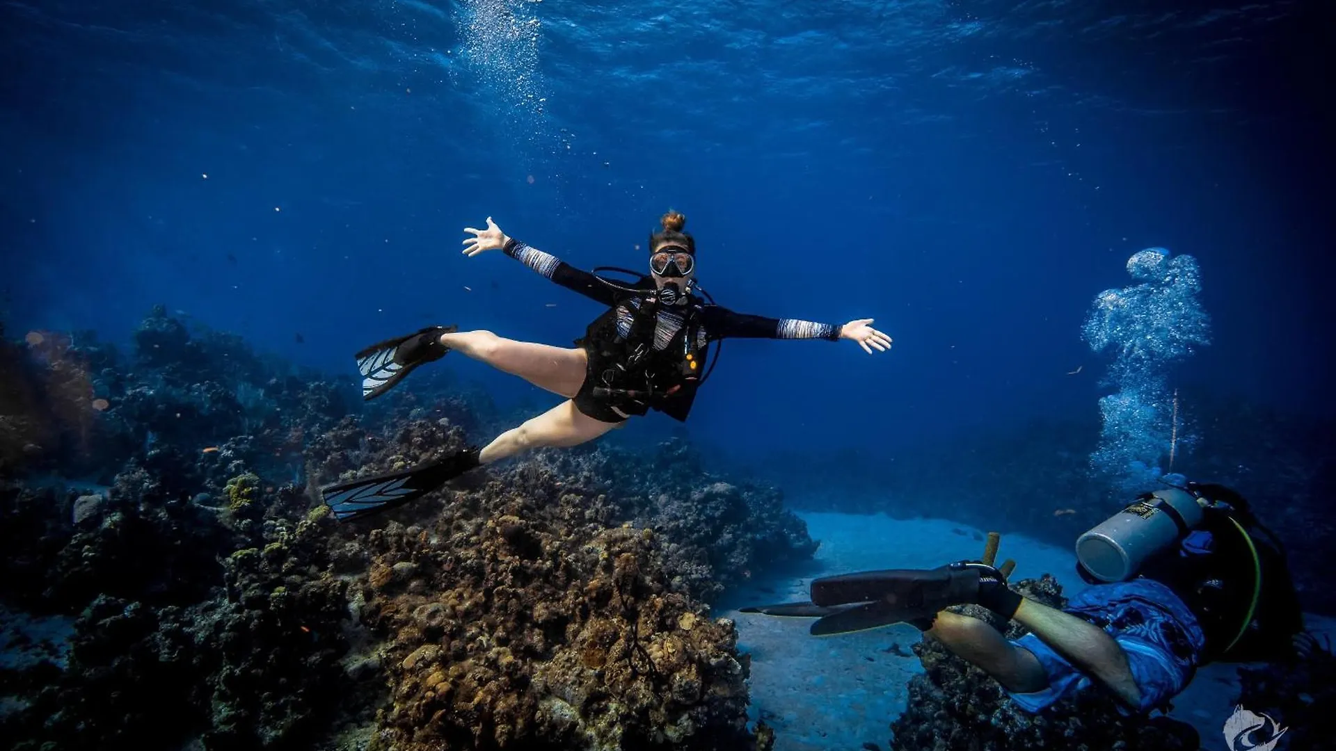 Diver'S Paradise West Bay