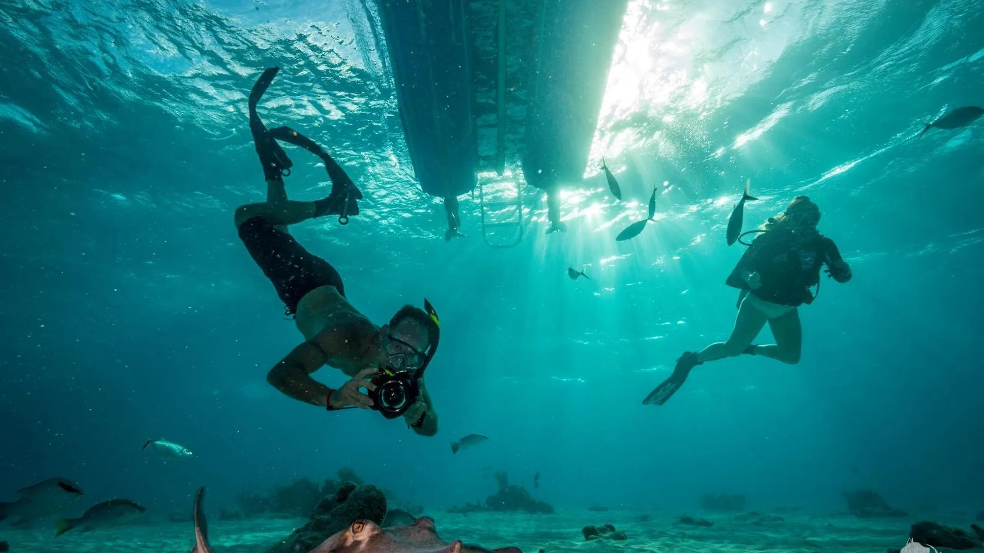 Diver'S Paradise West Bay