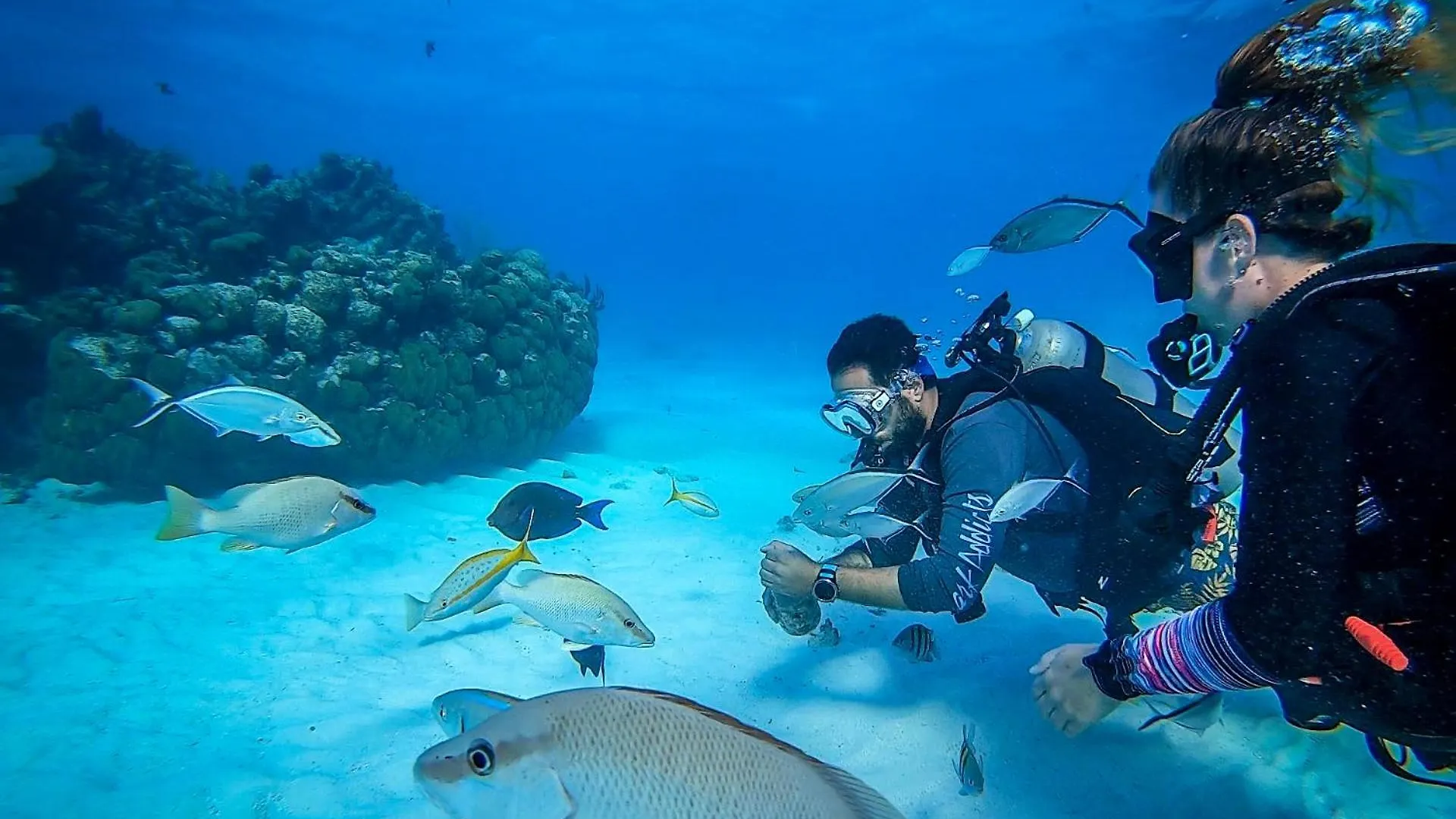 Diver'S Paradise West Bay 0*,