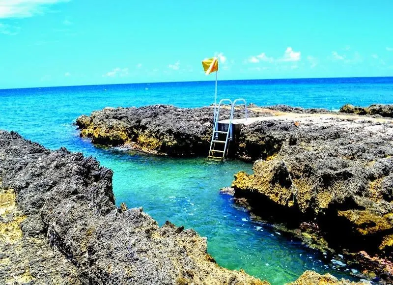 Diver'S Paradise West Bay